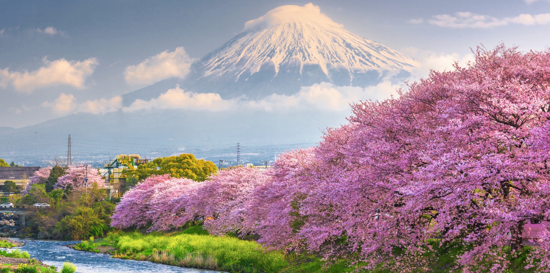 Japan Discovery Escorted Tour